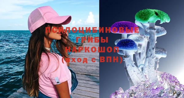 PSILOCYBIN Аркадак
