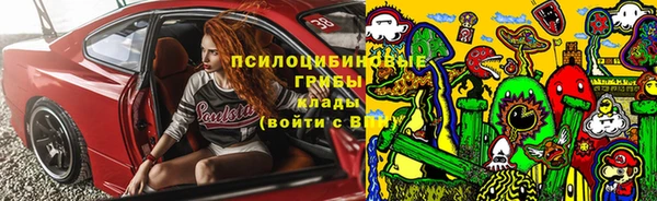 PSILOCYBIN Аркадак