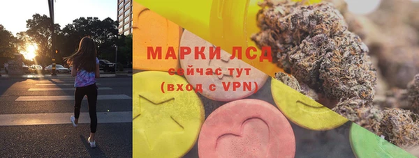 PSILOCYBIN Аркадак