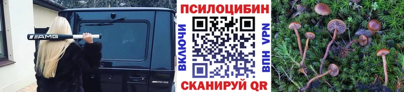 Галлюциногенные грибы мухоморы Певек